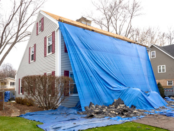 Best Fascia and Soffit Installation  in Pato, WA
