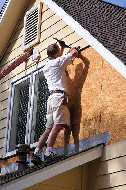 Best Insulated Siding Installation  in Pato, WA