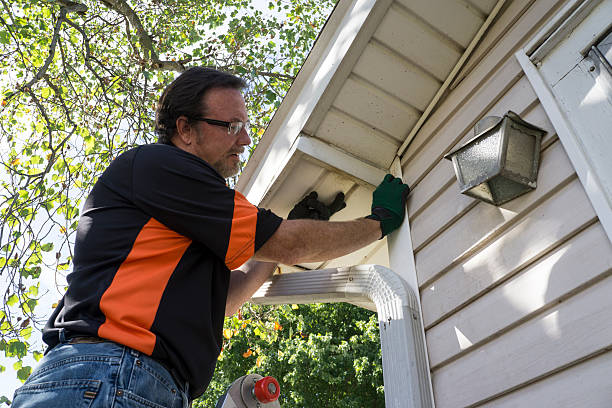Best Brick Veneer Siding  in Pato, WA